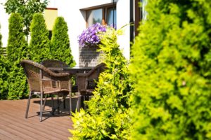 Vila Epušė - apartamentų nuoma Palangoje
